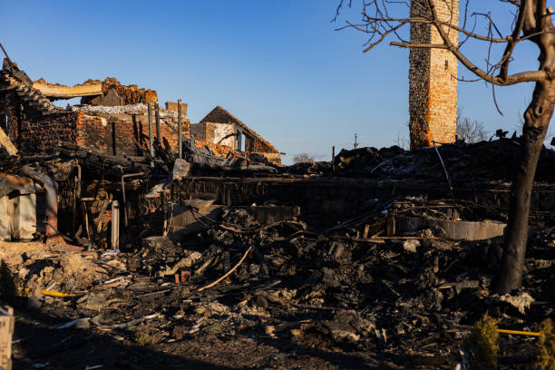 Reliable Fire Damage Restoration contractor in Sarasota, FL by Fire Damage Doption